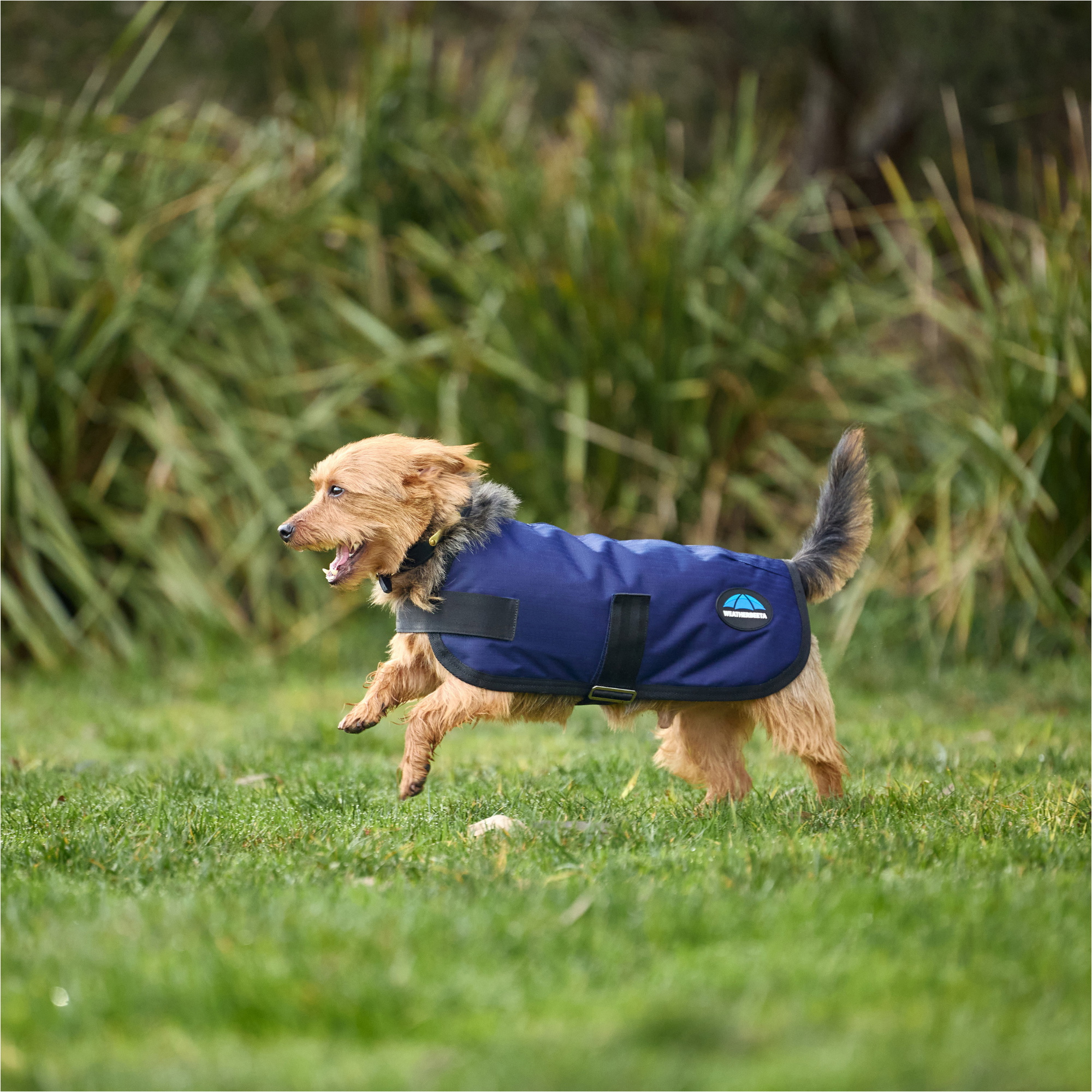 2025 Weatherbeeta Comfitec Classic Waterproof Dog Coat 1029048 - Navy